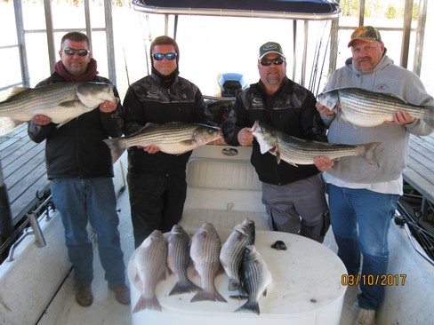 Nice Striped Bass
